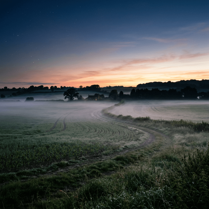 Winding dirt path through misty green fields at dawn with house in distance